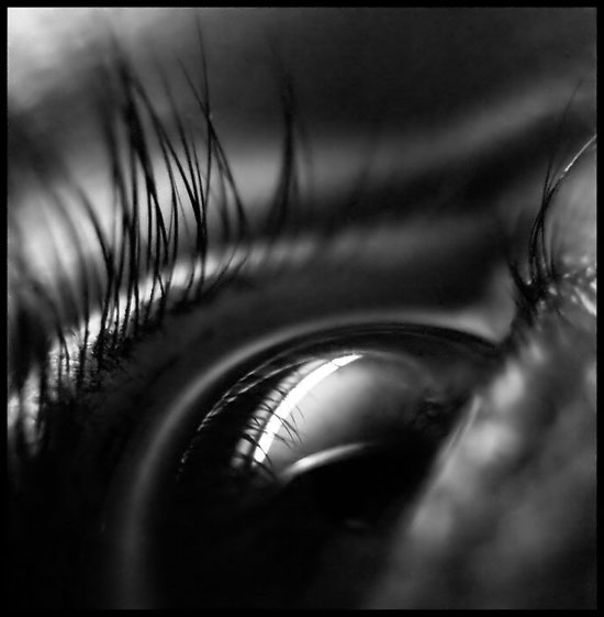 eye1 (550x561, 32Kb)