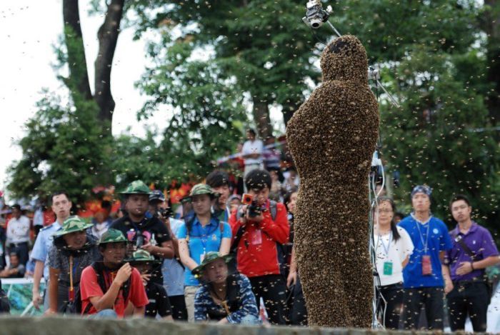 Bee_03 (700x469, 76Kb)