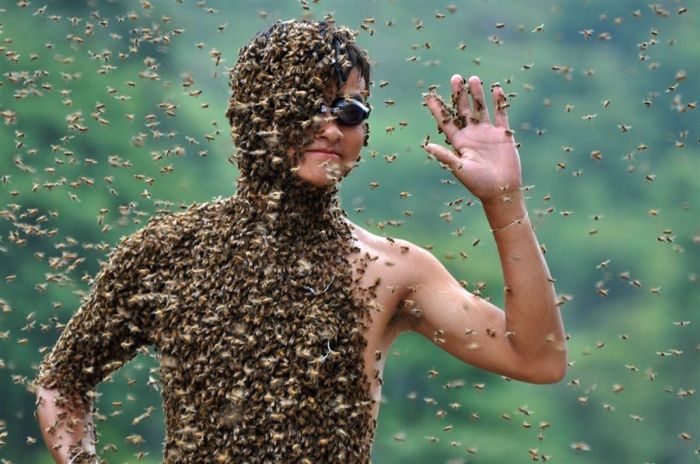 Bee_05 (700x464, 64Kb)