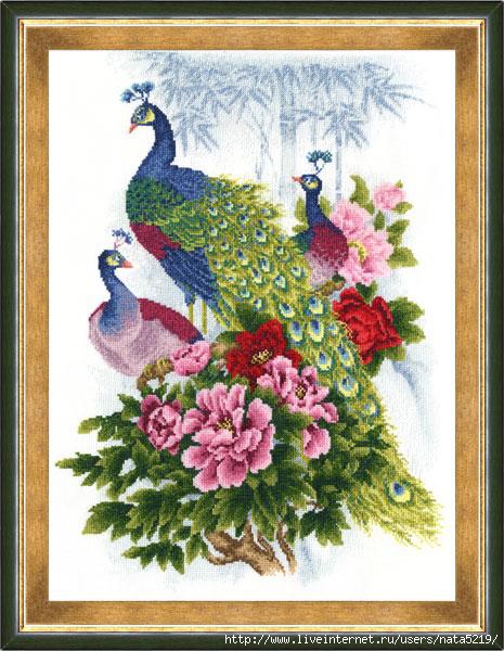 ZR RS-012 Peacocks (465x600, 183Kb)