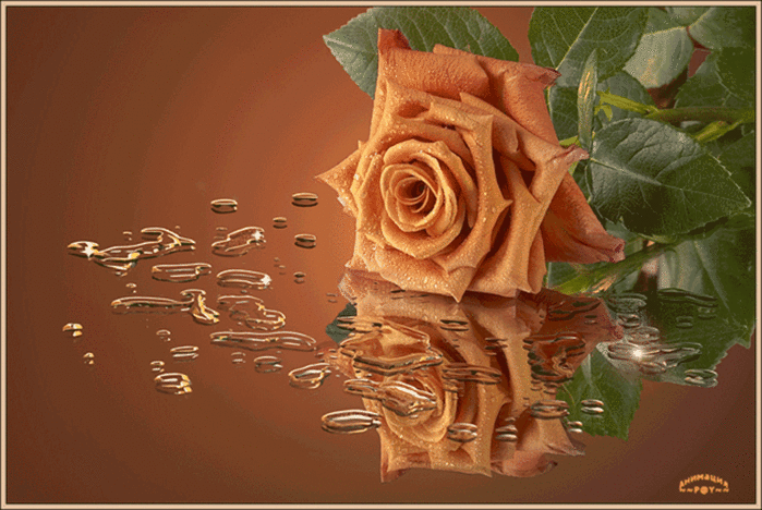 3645882_2421d7817288 (700x468, 637Kb)