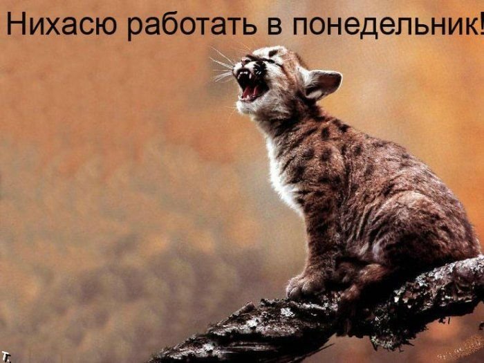 ponedelnik_45 (700x525, 71Kb)