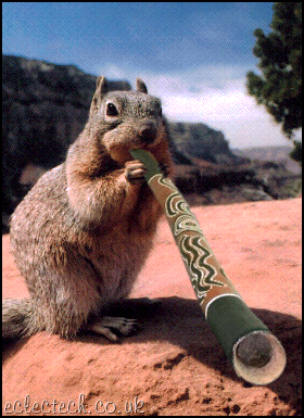 1225660214_animal_gifs_60 (280x385, 90Kb)