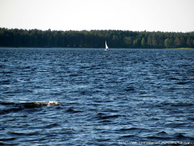/1413032_karelia3 (650x488, 190Kb)