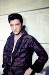  presley (8) (463x700, 128Kb)