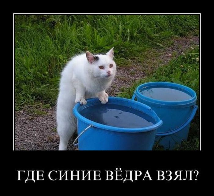 1309792324_demotivatory_141 (700x641, 92Kb)