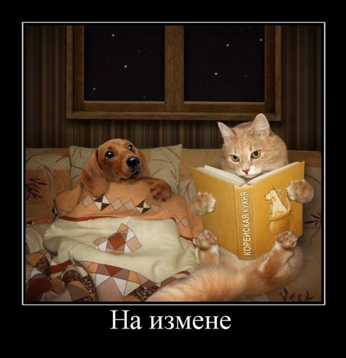1310651176_demotivatory_12 (675x700, 73Kb)