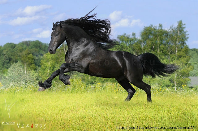 getImage (640x425, 201Kb)