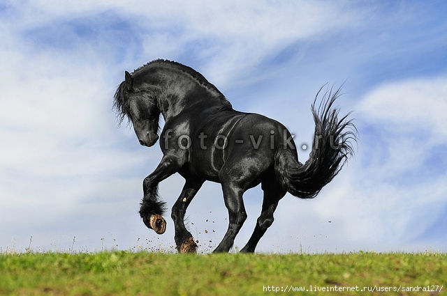 getImage (640x425, 132Kb)