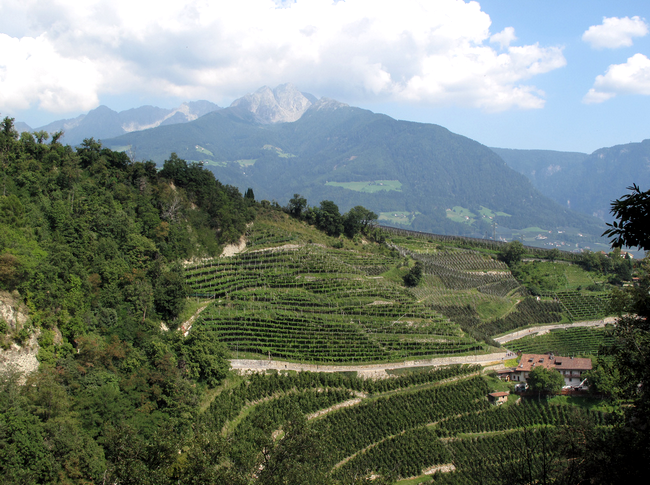 All sizes  MERANO- Dorf Tirol - Tirolo Village - Surrounding landscape  Flickr - Photo Sharing! (650x485, 677Kb)