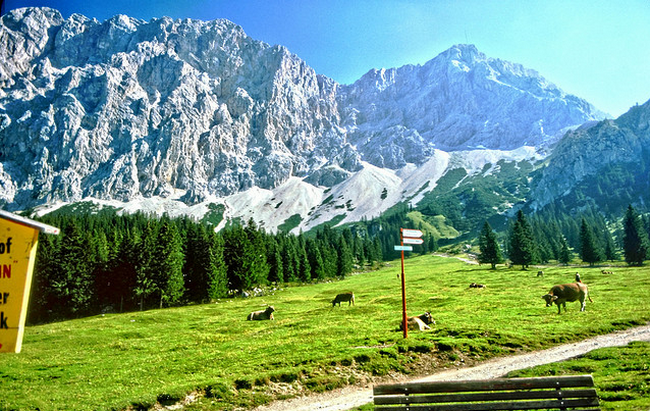 Zugspitzgebiet - Tirol - Urlaub - 08-1981  Flickr - Photo Sharing! (650x411, 733Kb)