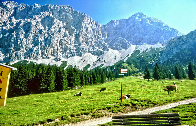 Zugspitzgebiet - Tirol - Urlaub - 08-1981  Flickr - Photo Sharing! (650x417, 746Kb)