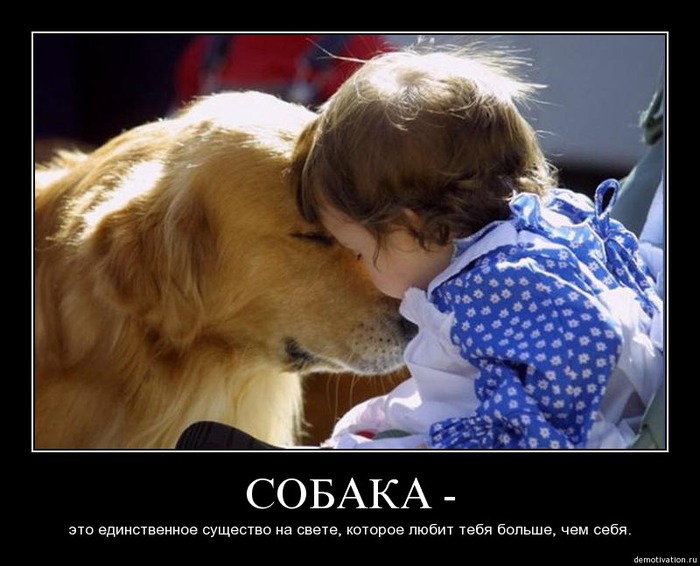 74939136_xskxxdtzlgne (700x566, 88Kb)