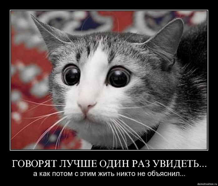 74939172_zfrhn65w2ell (699x597, 200Kb)