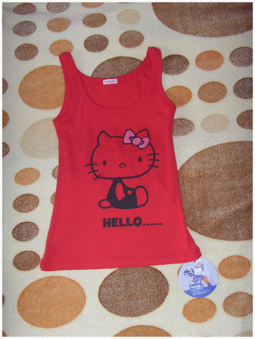 SDC17748 (527x700, 149Kb)