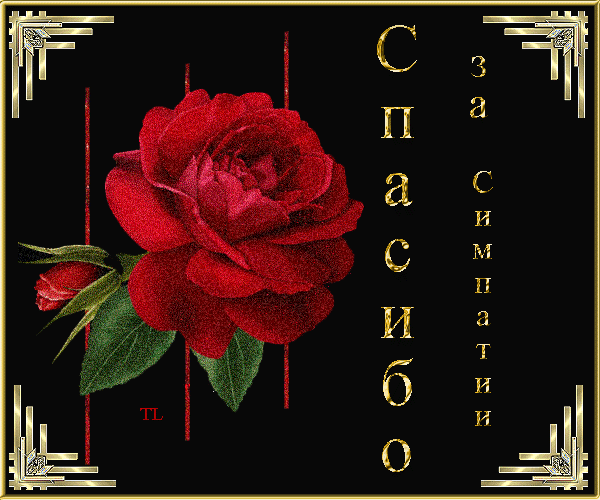    (600x500, 163Kb)
