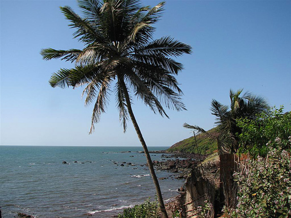 3-3-Anjuna-Beach-Goa-India (571x428, 138Kb)