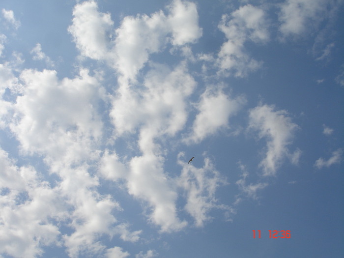   . 370 (700x525, 142Kb)