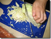 kapusta2