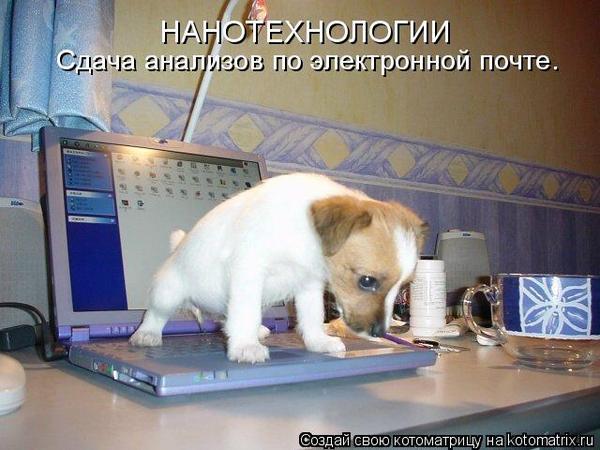  (600x450, 46Kb)