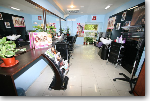 Salon (620x420, 376Kb)
