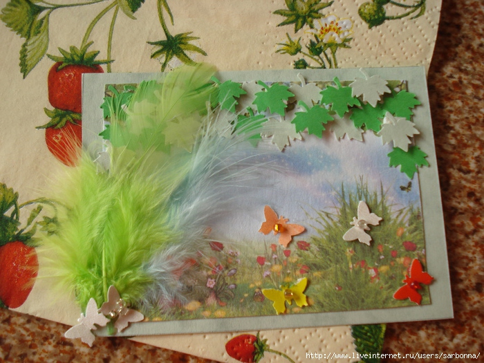 DSC06854 (700x525, 300Kb)