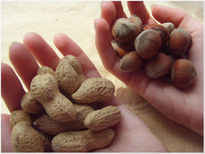 SDC17647 (700x526, 104Kb)