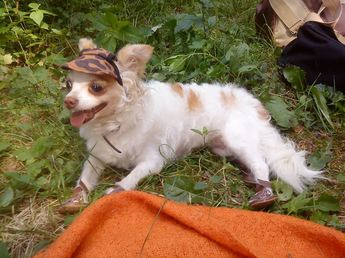 DSC01015 (700x525, 199Kb)