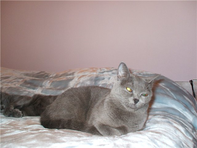 1668275_0009effp (640x480, 43Kb)