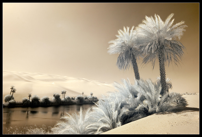 3416556_4135772_large (700x473, 144Kb)