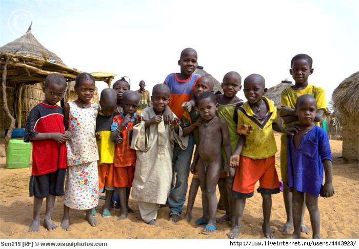 senegal_-_saint-louis_region_-_village_in_the_bush_sen219 (700x487, 166Kb)