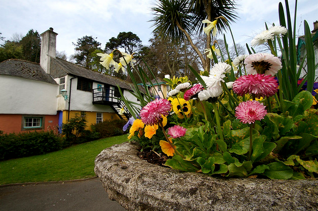 Pot at Portmeirion  Flickr - Photo Sharing! (650x431, 697Kb)