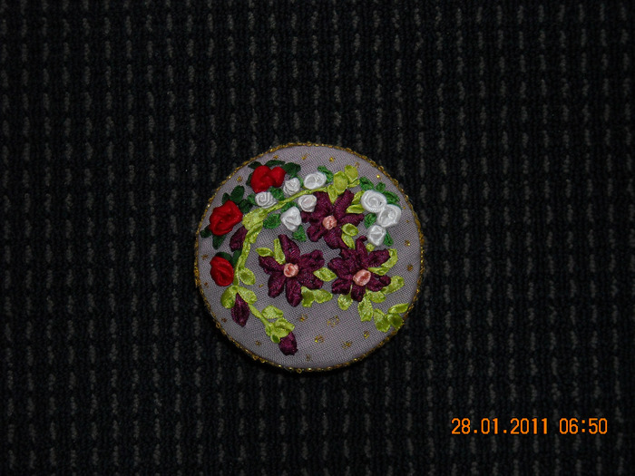 DSCN0727 (700x525, 127Kb)