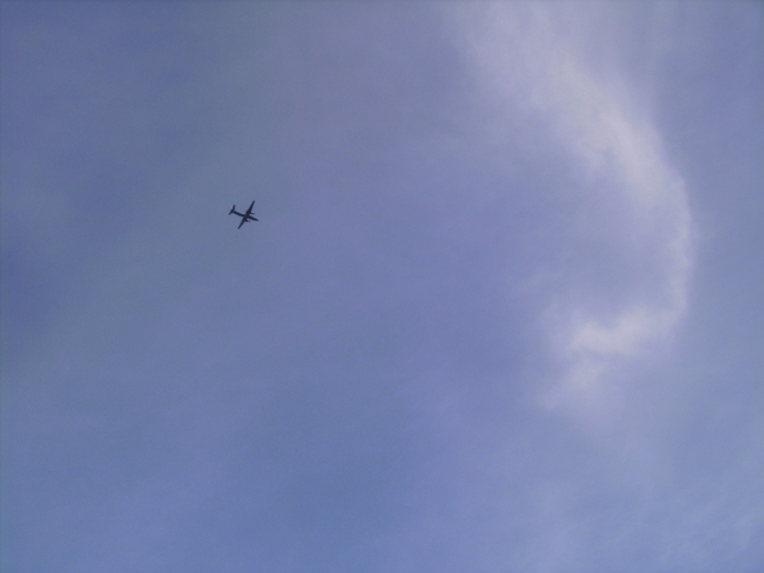 PICT0143 (700x525, 176Kb)