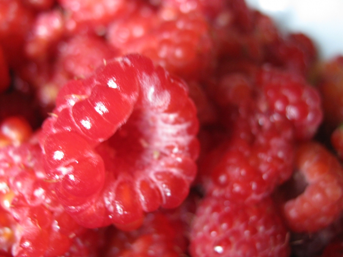 3446442_Izobrajenie_041 (700x525, 229Kb)