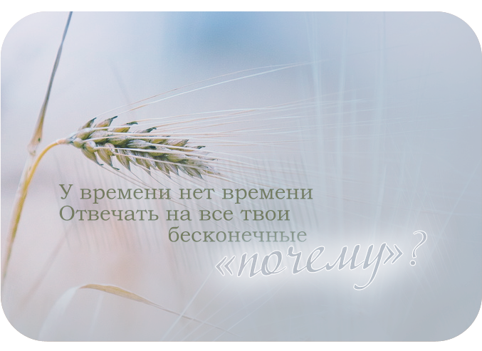 3770037_epigraf_2 (677x493, 353Kb)