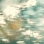summer (150x150, 85Kb)