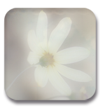    (150x154, 24Kb)