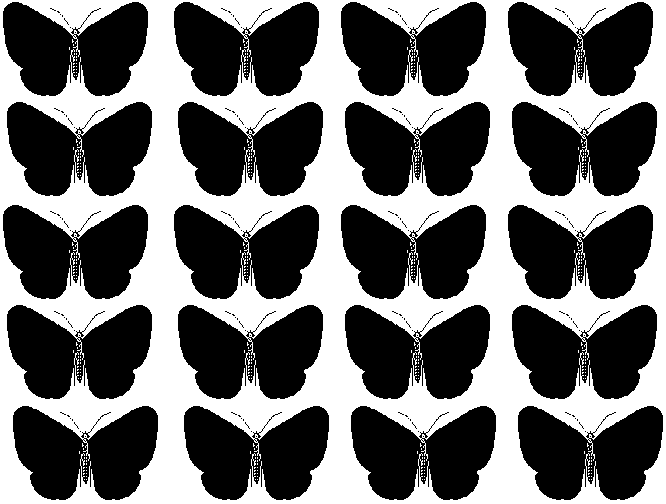 Распечатки бабочек черно. Трафареты бабочек для декора. Трафареты бабочек для декора стены. Шаблоны бабочек для украшения стен. Черно белые бабочки для распечатки.