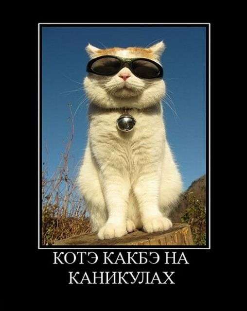 1311021293_s3img_161461572_20033_1 (508x640, 31Kb)