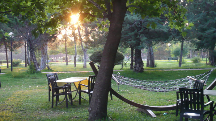 P1100434 (700x393, 126Kb)