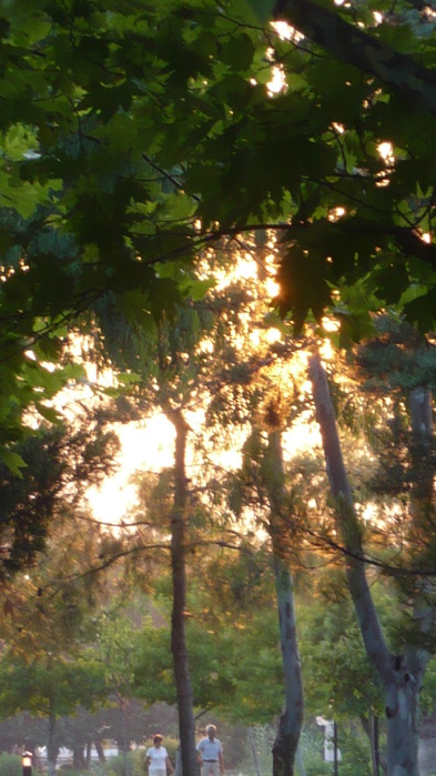 P1100435 (393x700, 105Kb)