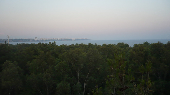 P1100444 (700x393, 45Kb)