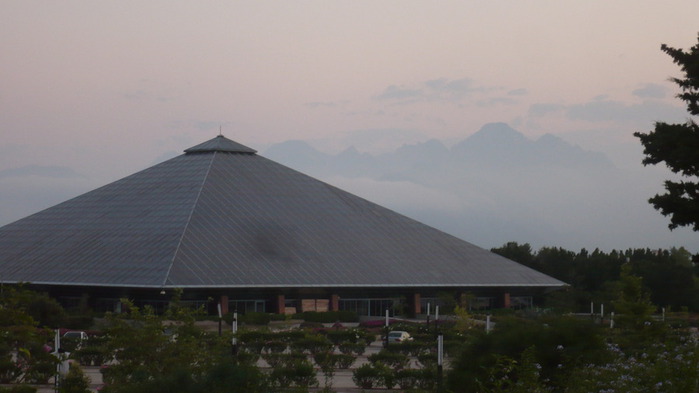 P1100448 (700x393, 50Kb)