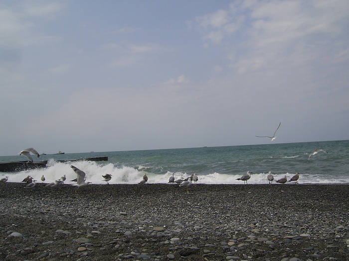 PIC_0076 (700x525, 139Kb)