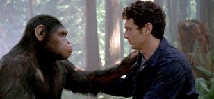 kinopoisk.ru-Rise-of-the-Planet-of-the-Apes-1638955 (308x143, 13Kb)