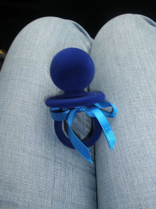 P7241836 (525x700, 88Kb)