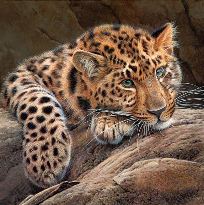 2795685_0b1e4cf81f689d767592e87f6f1781ca (650x652, 205Kb)