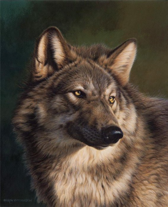 2795685_0b1e0c014650f8017c7d383f02112eaf (567x700, 71Kb)