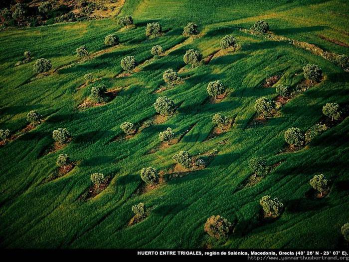 Slide5 (700x525, 87Kb)